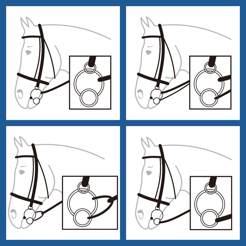 HERM SPRENGER�ʥϡ��ॹ�ץ�󥬡��� ��˥С�����ӥå�