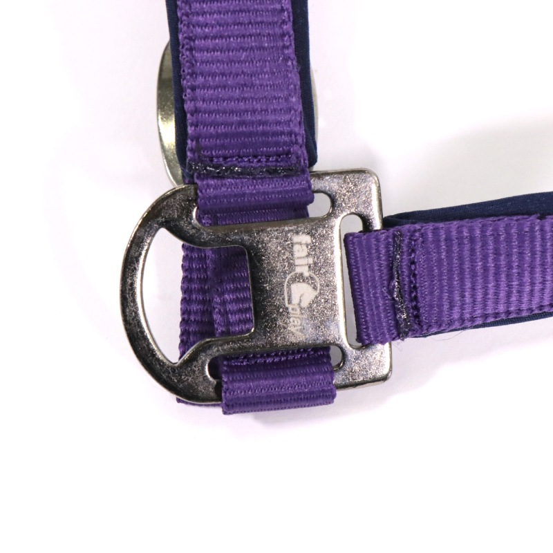 FairPlayʥեץ쥤 ӥХ ̵ȼꥻå