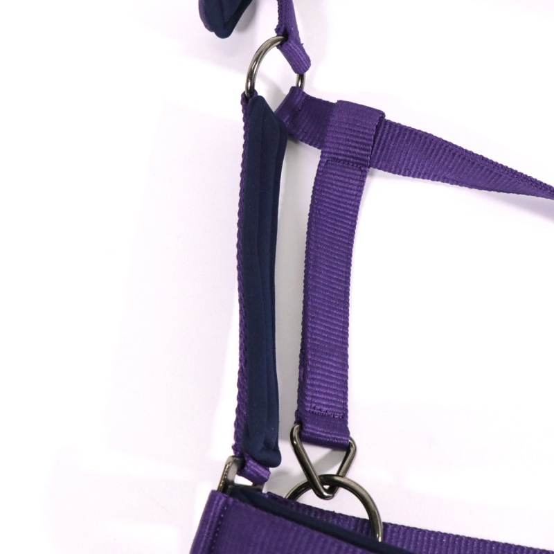 FairPlayʥեץ쥤 ӥХ ̵ȼꥻå