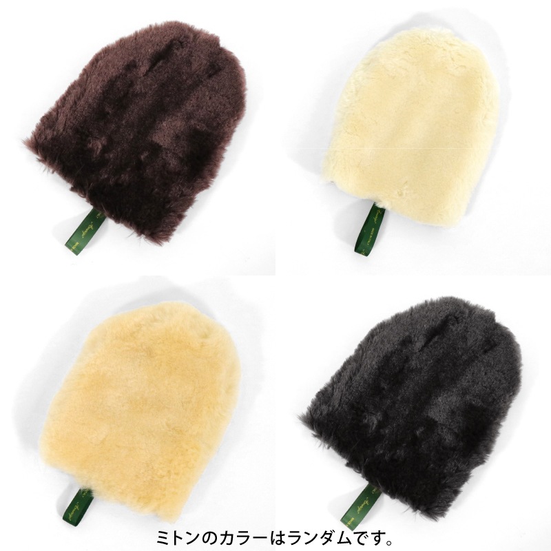 Amerigo�ʥ���ꥴ�� �������쥻�å�