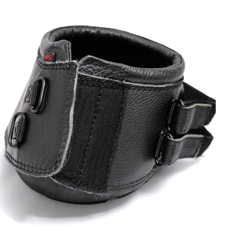 ����ץ�ա��ե֡���