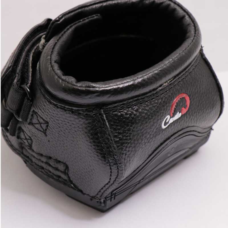 ����ץ�ա��ե֡���