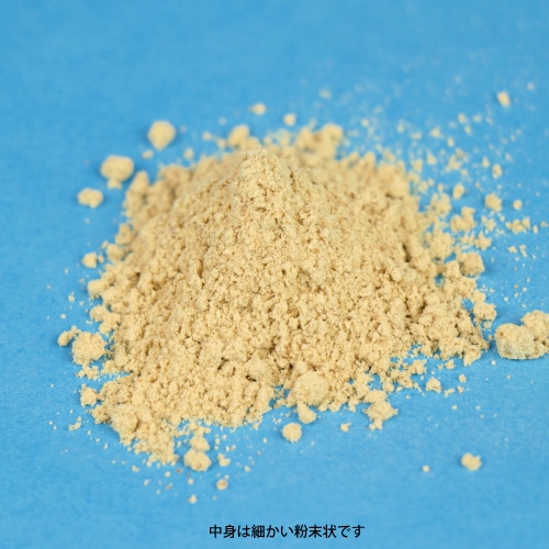 �ڥƥ����󥹡����ϥ˥塼������ǥ�ۡ���