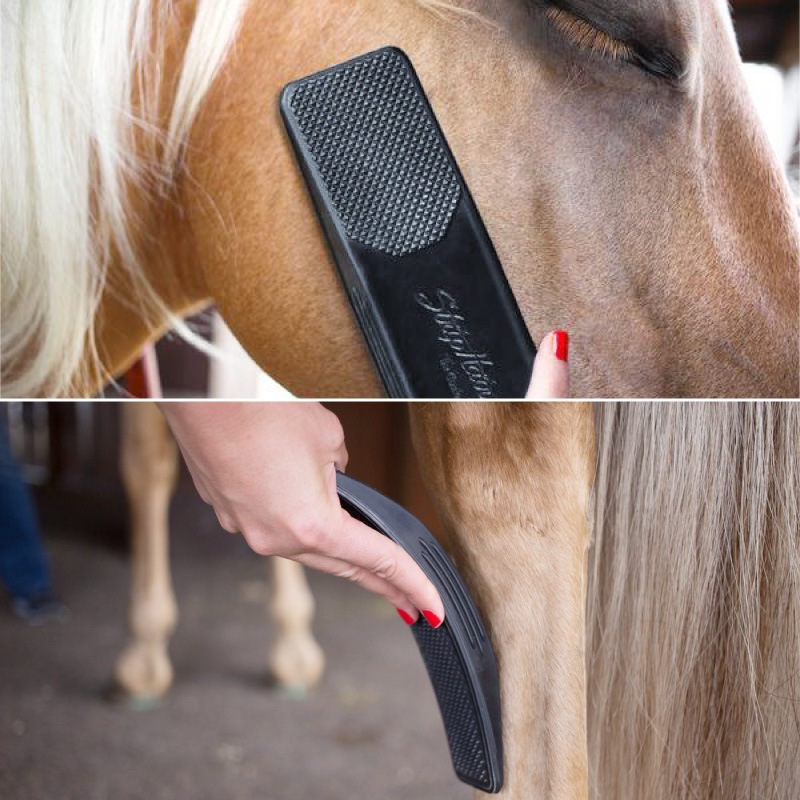 ���ȥ�åץإ� GG