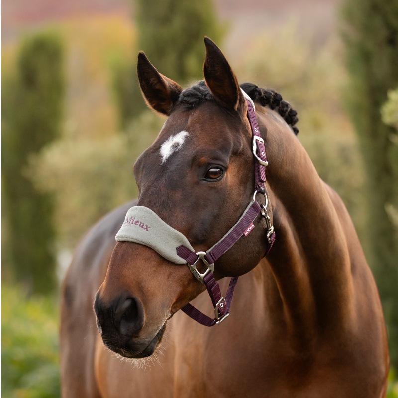 LeMieux�ʥ�ߥ塼�� �������� ̵�����ȼꥻ�å�