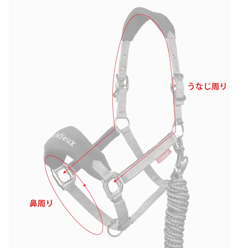 LeMieux�ʥ�ߥ塼�� �������� ̵�����ȼꥻ�å�