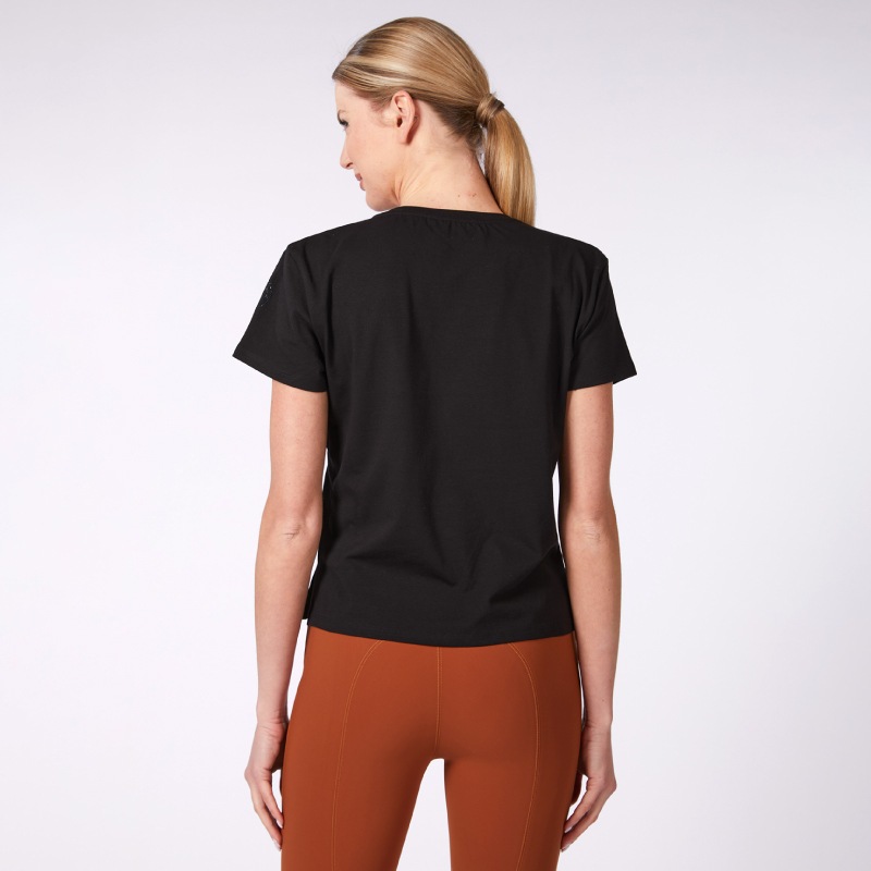 VESTRUM�ʥ������ȥ��� �������˥� �ƥ�������� ��ǥ�����