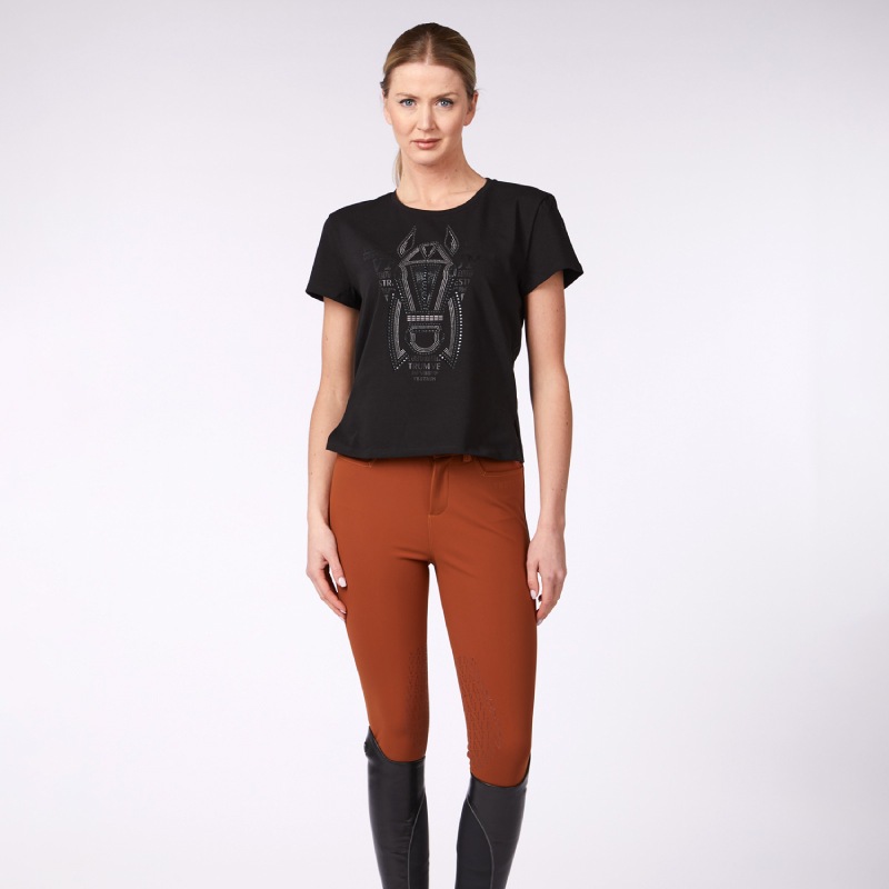 VESTRUM�ʥ������ȥ��� �������˥� �ƥ�������� ��ǥ�����