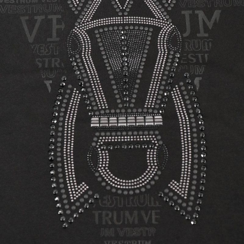 VESTRUM�ʥ������ȥ��� �������˥� �ƥ�������� ��ǥ�����