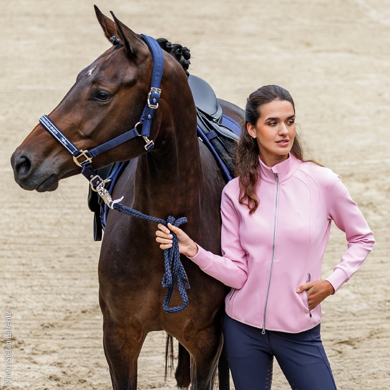 SCHOCKEMOHLE�ʥ���å��ߥ塼��� ��� ���㥱�å� ��ǥ�����