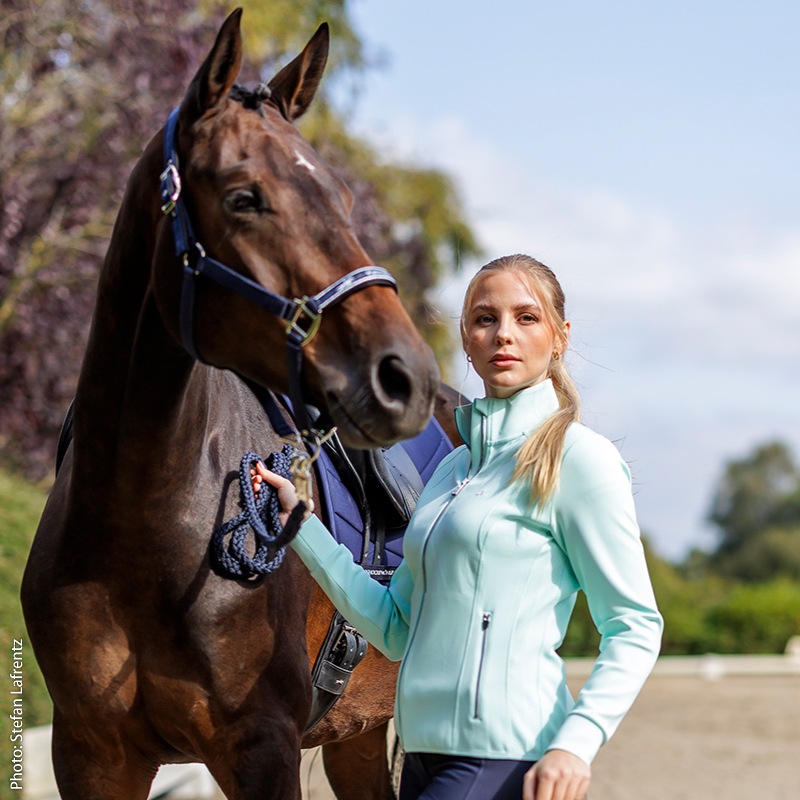 SCHOCKEMOHLE�ʥ���å��ߥ塼��� ��� ���㥱�å� ��ǥ�����