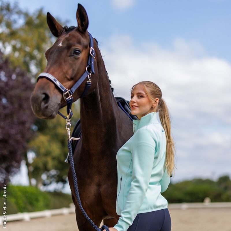 SCHOCKEMOHLE�ʥ���å��ߥ塼��� ��� ���㥱�å� ��ǥ�����