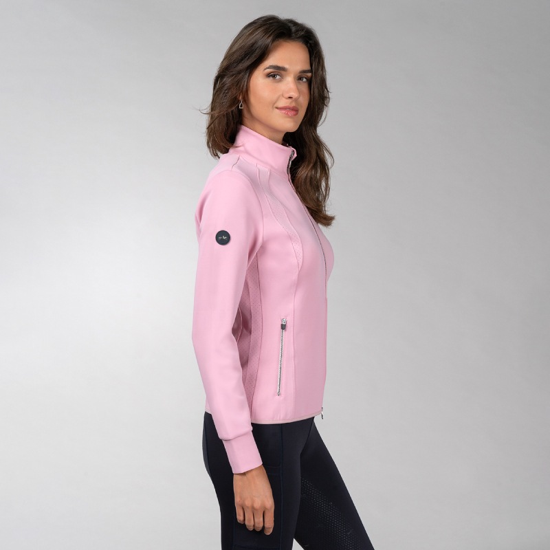 SCHOCKEMOHLE�ʥ���å��ߥ塼��� ��� ���㥱�å� ��ǥ�����