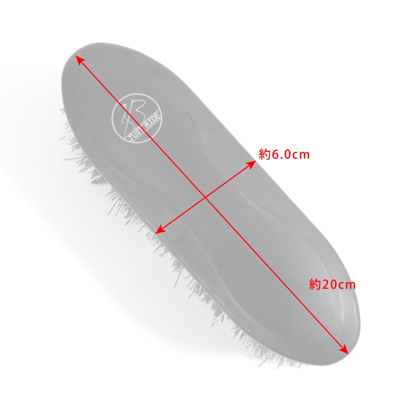 JUST RIDE�ʥ��㥹�ȥ饤�ɡ� �ʥ����󺬥֥饷�����