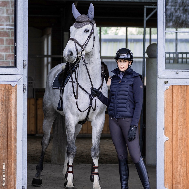 ��P���å��оݡ�SCHOCKEMOHLE�ʥ���å��ߥ塼��� ������� ���㥱�å� ��ǥ�����