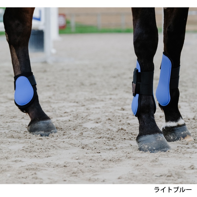 EQUITHEME ���� �֡��ĥ��å�