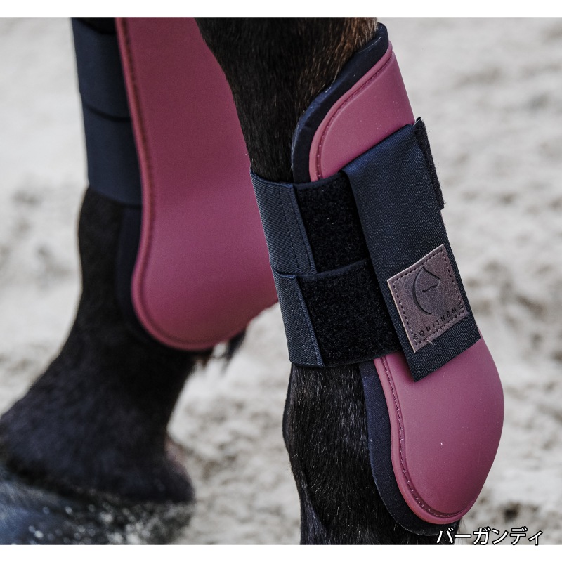 EQUITHEME ���� �֡��ĥ��å�