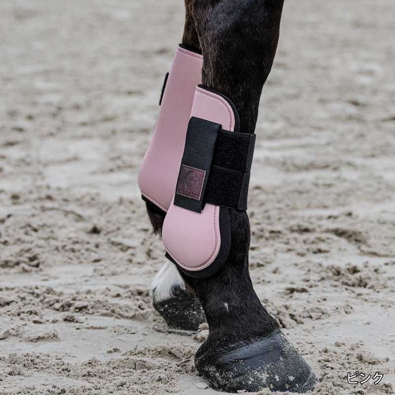 EQUITHEME ���� �֡��ĥ��å�