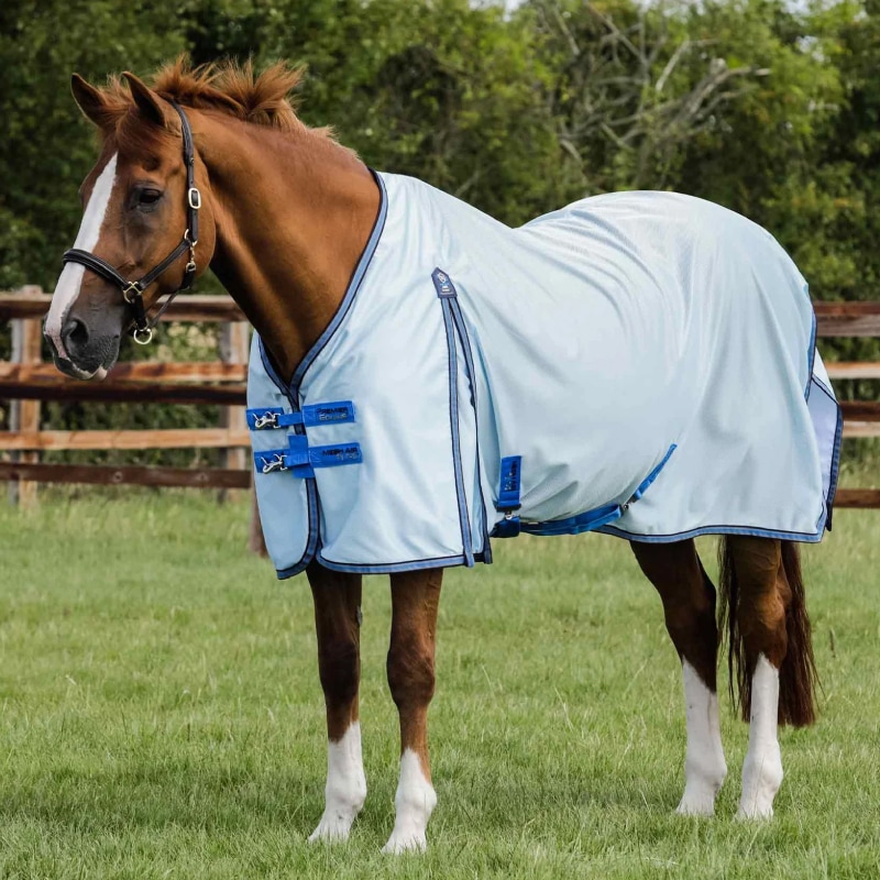 PREMIER EQUINE�ʥץ�ߥ���������˥�å��奨�����ե饤�饰