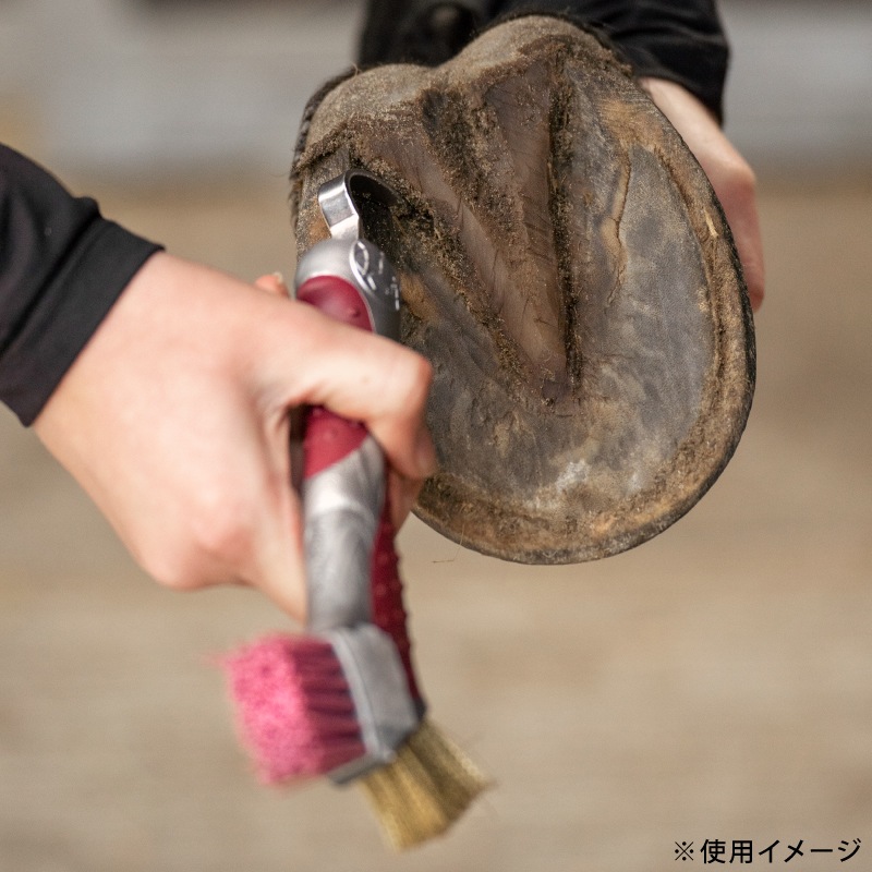 IMPERIAL RIDING�ʥ���ڥꥢ��饤�ǥ��󥰡� �ա��եԥå� �����졼�ѡ�