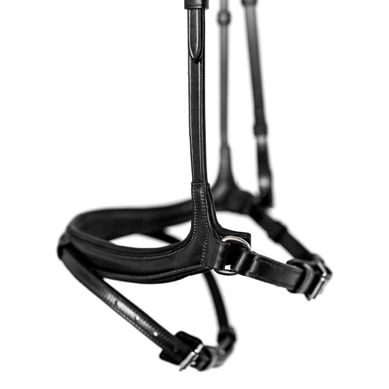 SCHOCKEMOHLE�ʥ���å��ߥ塼��� ���󥳥� ����Ƭ��