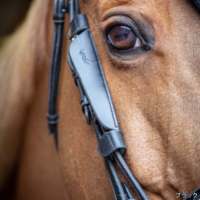 �ڿ���ե�����Penelope�ʥڥͥ��ڡ˥֥�󥫡�