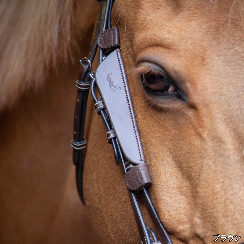 �ڿ���ե�����Penelope�ʥڥͥ��ڡ˥֥�󥫡�