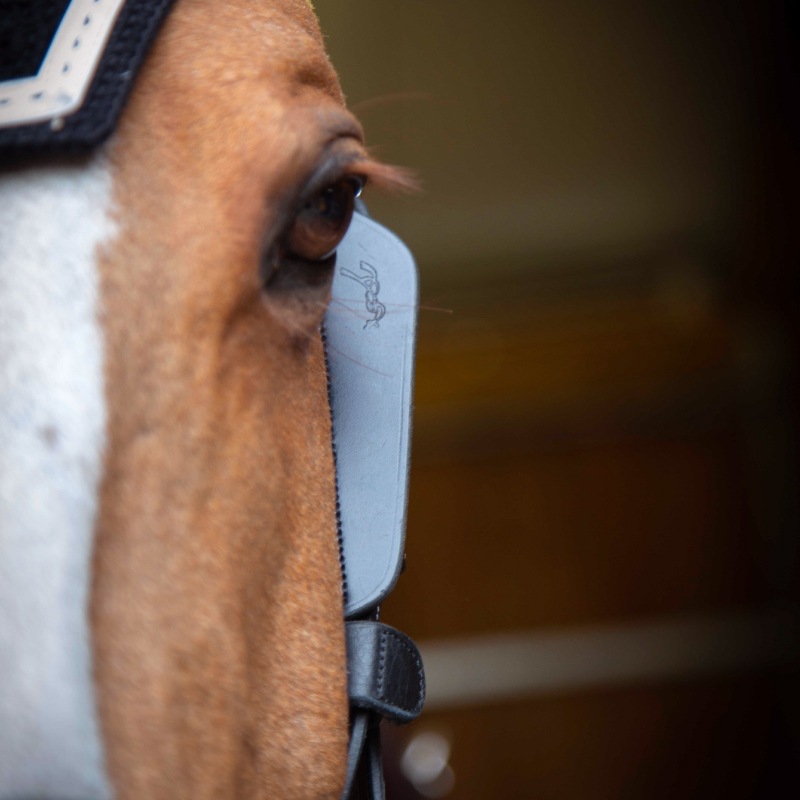 �ڿ���ե�����Penelope�ʥڥͥ��ڡ˥֥�󥫡�