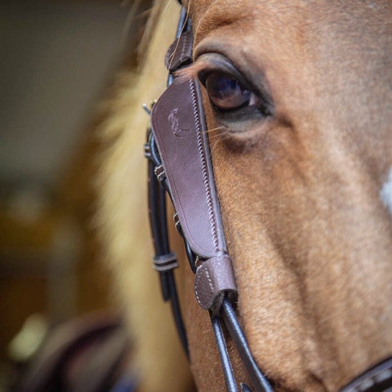 �ڿ���ե�����Penelope�ʥڥͥ��ڡ˥֥�󥫡�