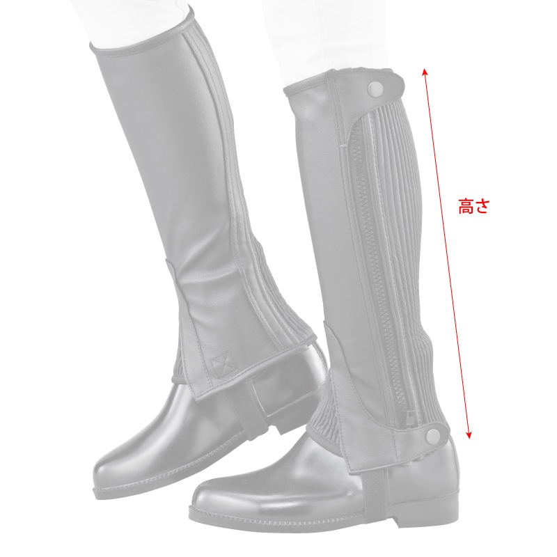 ñԲľ beginneråȣåоݾʡCۡP