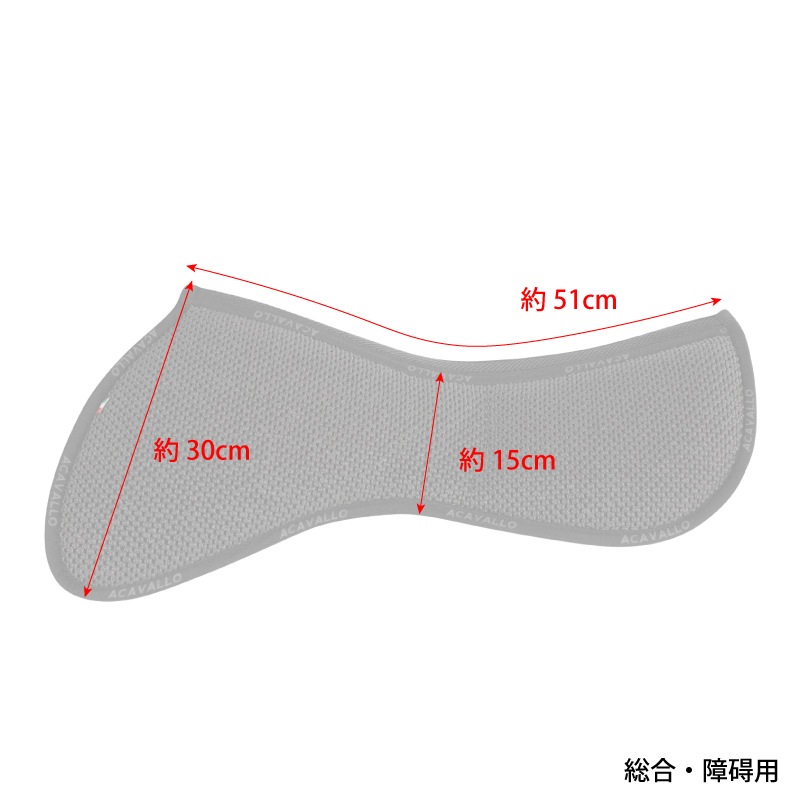 ACAVALLO ����  �ϡ��եѥå� AC228.229