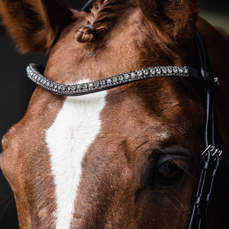 SCHOCKEMOHLE�ʥ���å��ߥ塼��� �ޥ饬 �۳�