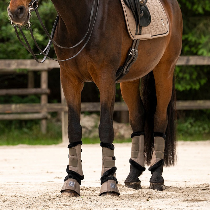 �ڿ���ե�����CAVALLO�ʥ��Х��� ����ǥ� ���