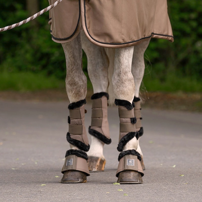 �ڿ���ե�����CAVALLO�ʥ��Х��� ����ǥ� ���