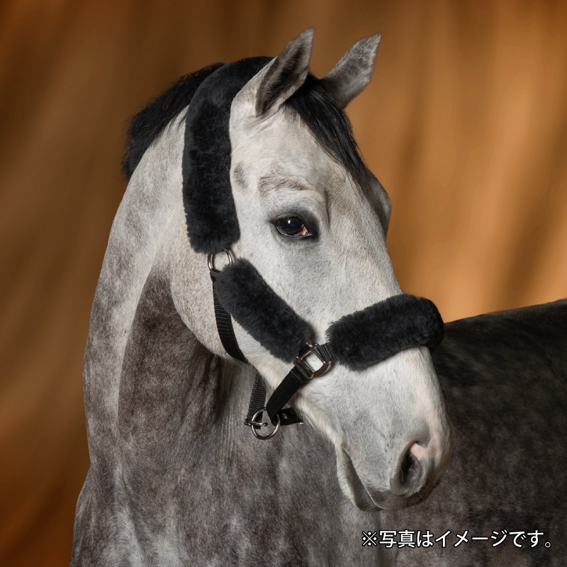 E.A.MATTES�ʥޥƥ��� �ۥ륿�����å� 25AW