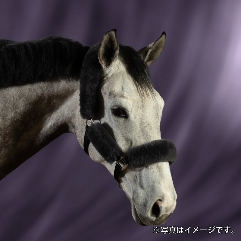 E.A.MATTES�ʥޥƥ��� �ۥ륿�����å� 25AW