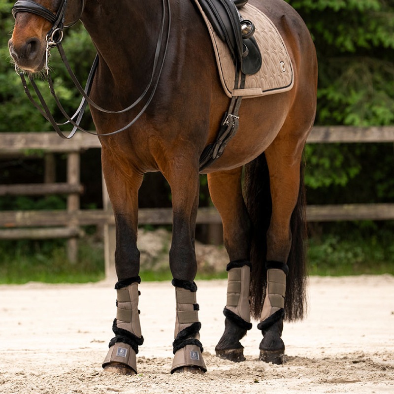 �ڿ���ե�����CAVALLO�ʥ��Х��� ���祫 �ۡ����֡��ĥ��å�