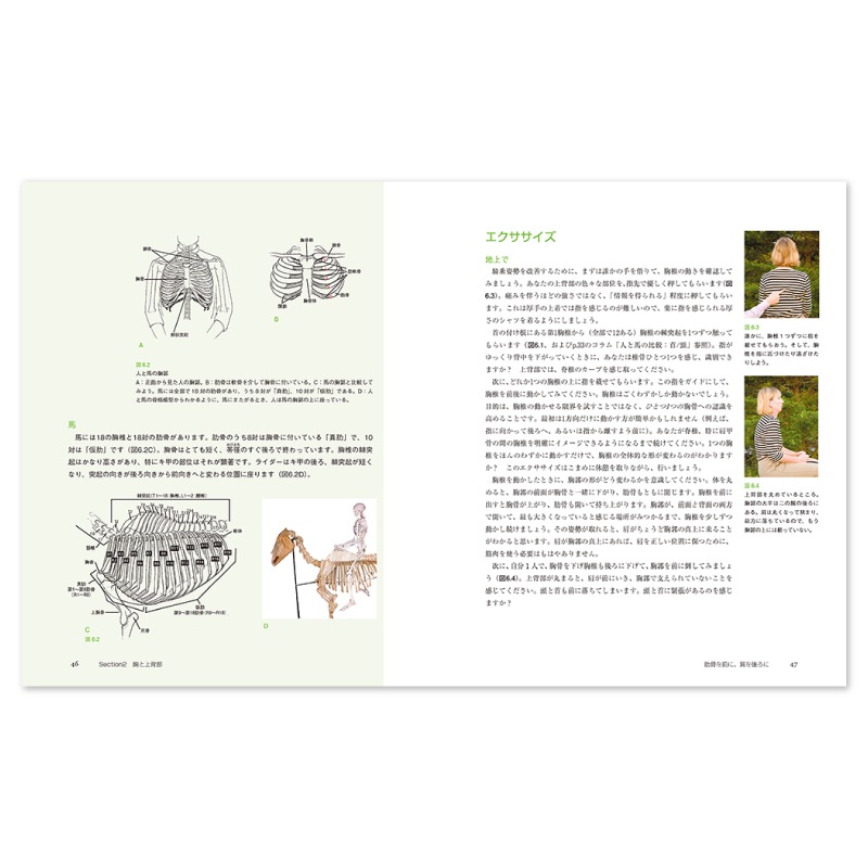 �������������Ϥ˾�뤿���50�δ�ñ������������