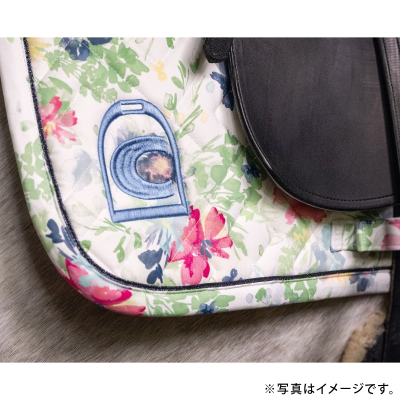 �ڿ���ե�����CAVALLO�ʥ��Х��� �ե��ꥢ ���å���