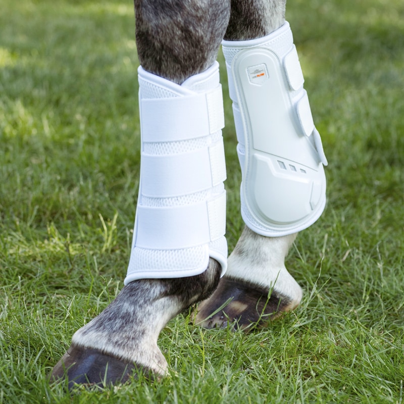 SCHOCKEMOHLE�ʥ���å��ߥ塼��� �����ե��� �ȥ졼�˥󥰥֡���