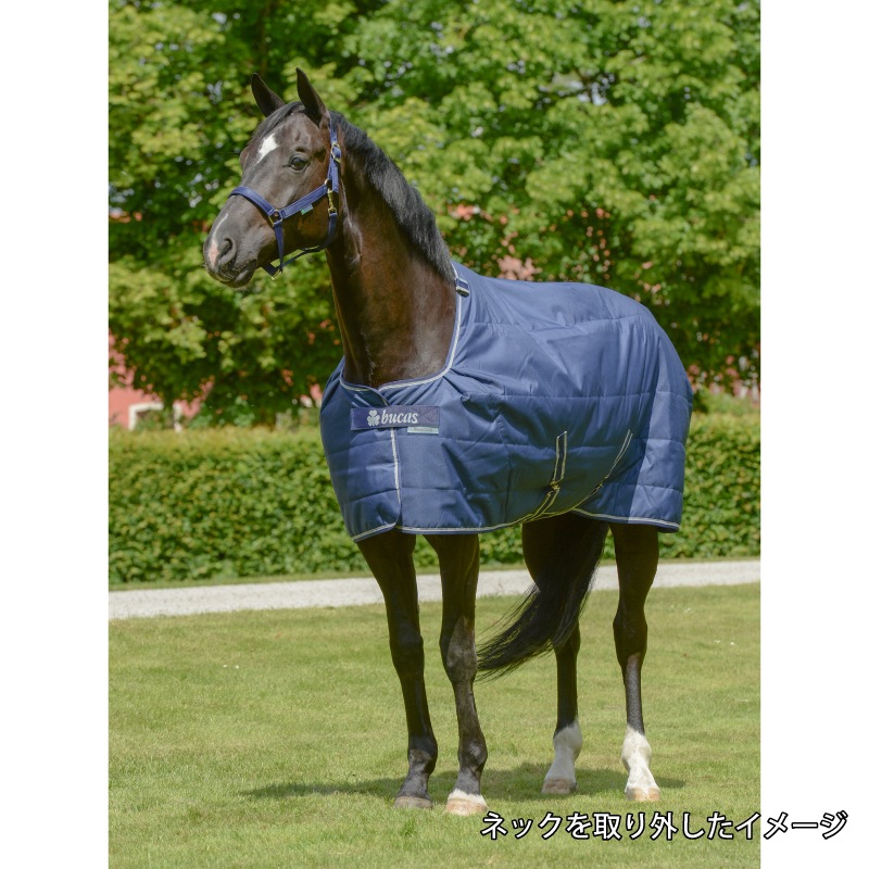 �ڿ���ե�����Bucas(�ӥ塼�����˥���ȡ��ͥå� 300g����