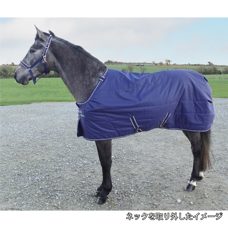 �ڿ���ե�����Bucas(�ӥ塼�����˥���ȡ��ͥå� 300g����