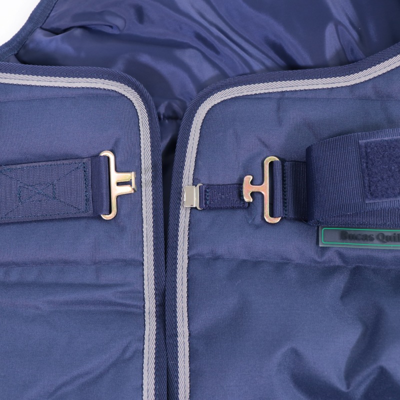 �ڿ���ե�����Bucas(�ӥ塼�����˥���ȡ��ͥå� 300g����