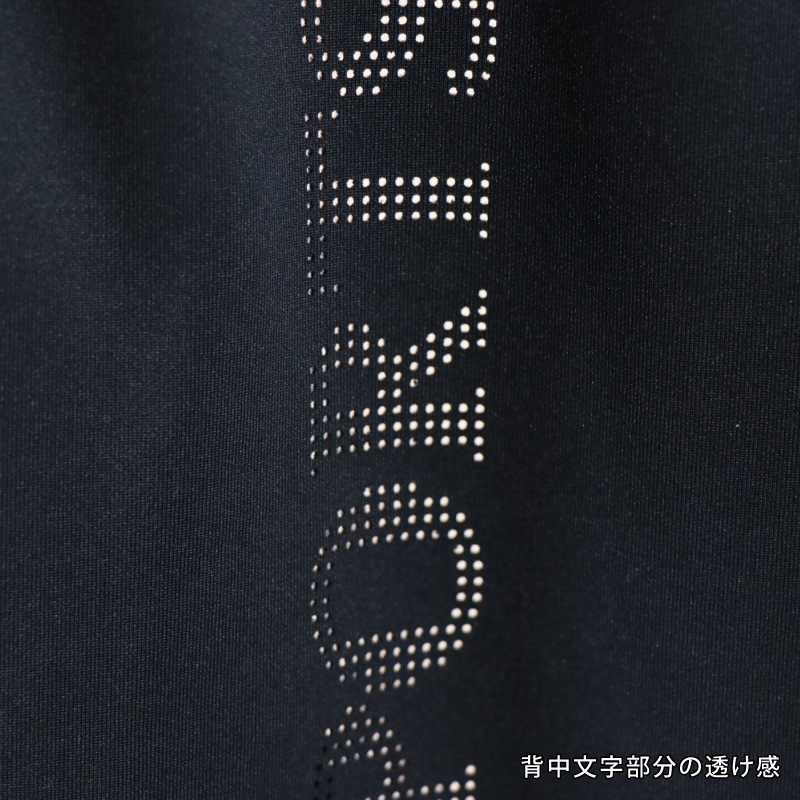 SCHOCKEMOHLE�ʥ���å��ߥ塼��� �ϥ�� �٥��� ��ǥ�����