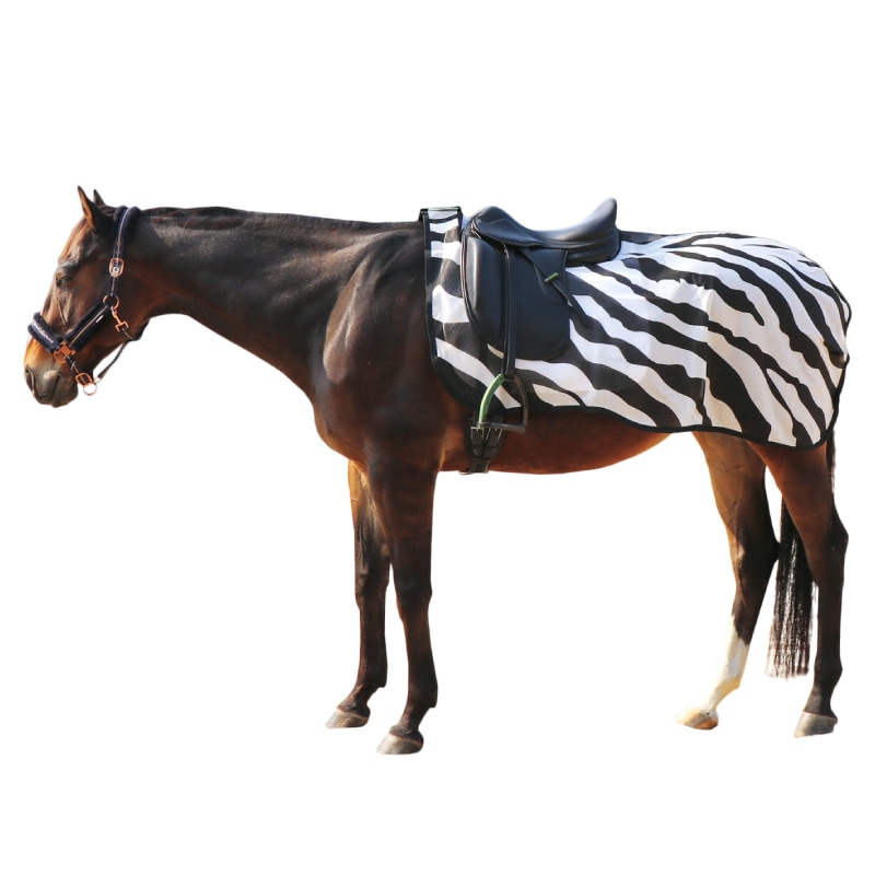 Bucas�ʥӥ塼������ �������������ե饤�饰 ���֥�