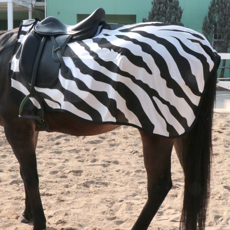 Bucas�ʥӥ塼������ �������������ե饤�饰 ���֥�