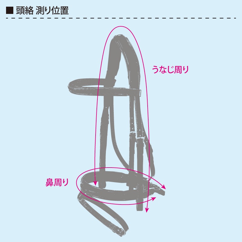 SCHOCKEMOHLE�ʥ���å��ߥ塼��� ���������� ���ᥬ ����Ƭ��