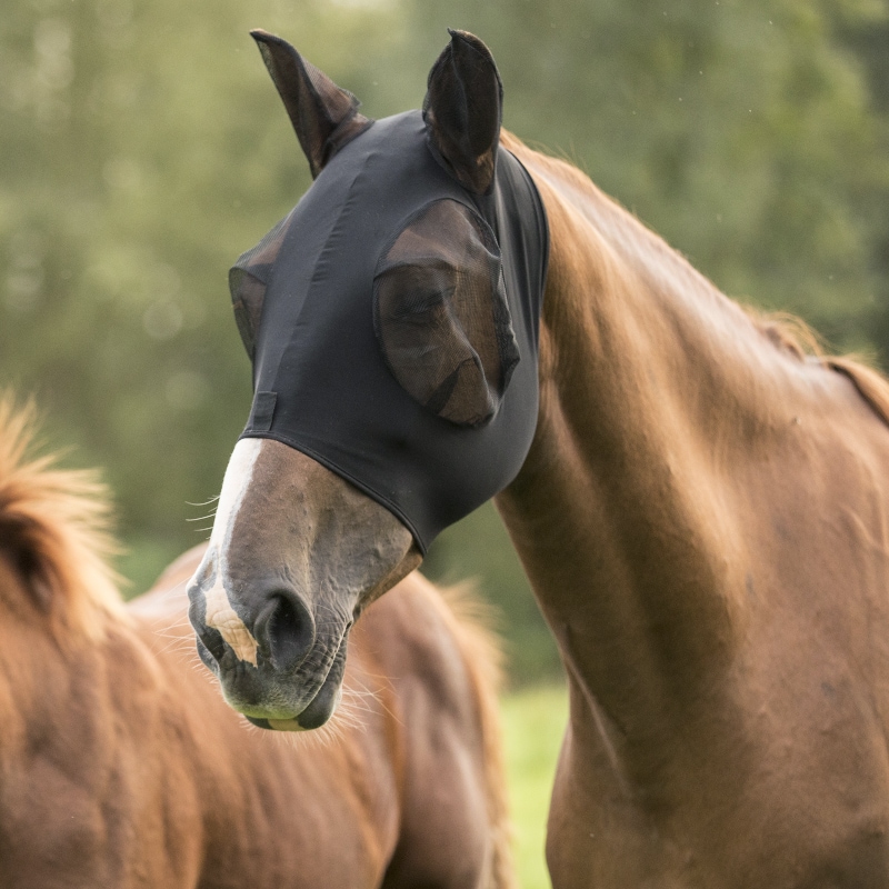 LAMI-CELL �饤���� �ե饤�ޥ���