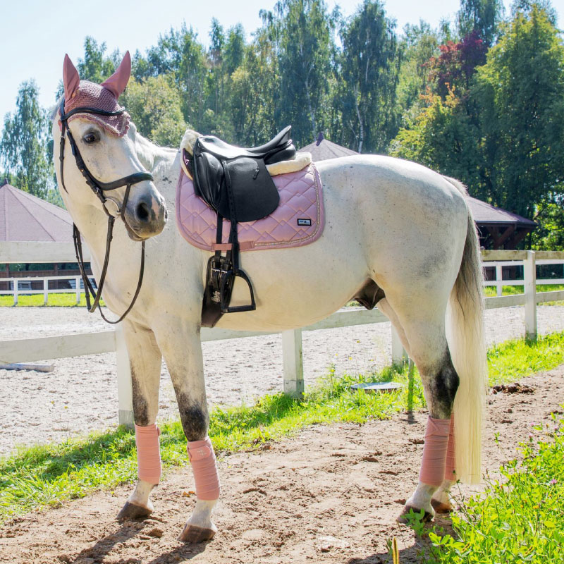 FairPlay�ʥե����ץ쥤�� �����饤�ȥ���ߥå� ���å���