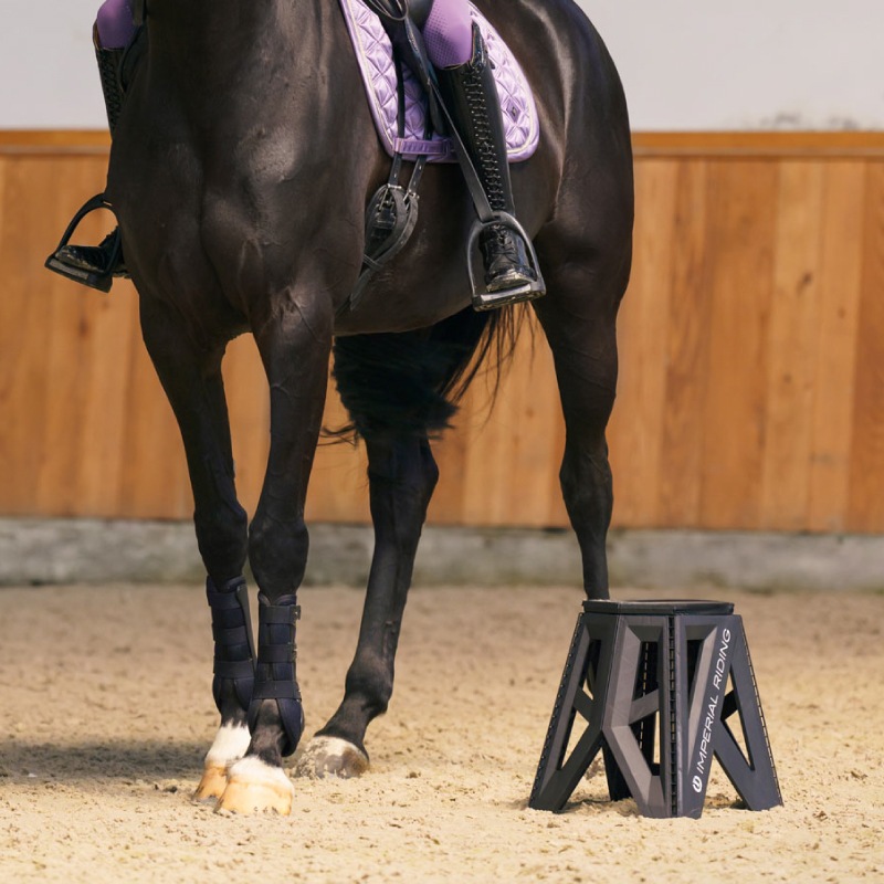 IMPERIAL RIDING�ʥ���ڥꥢ��饤�ǥ��󥰡� �������ϥ� ���ƥå�